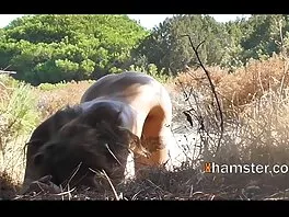 HITZEFREI Kaksi saksalaista naista viettää tyttöjen iltaa ilmaista porboa